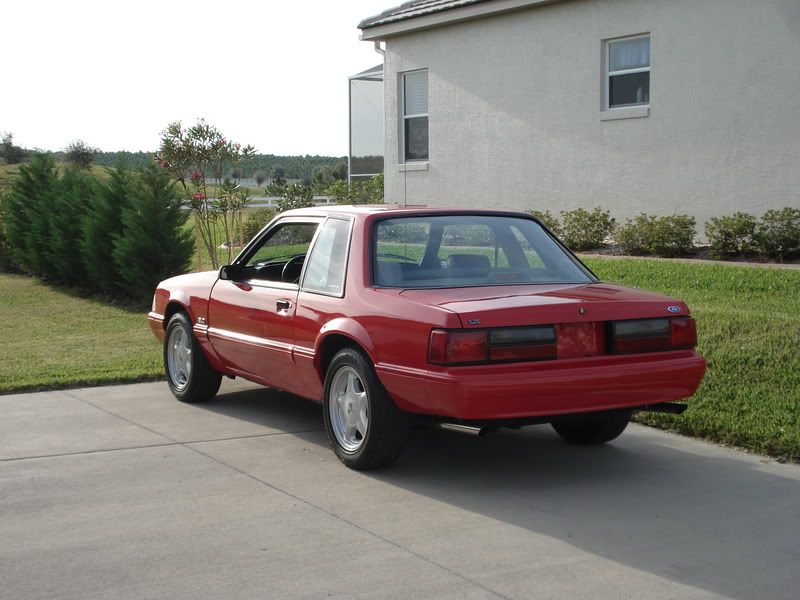 [Image: RedFox002.jpg]