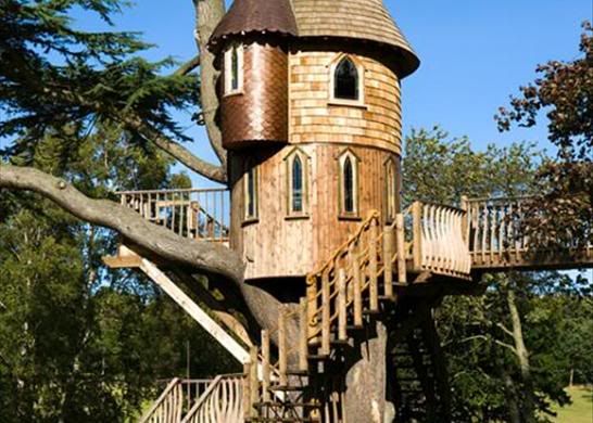treehouse.jpg