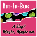 The Not-So-Blog