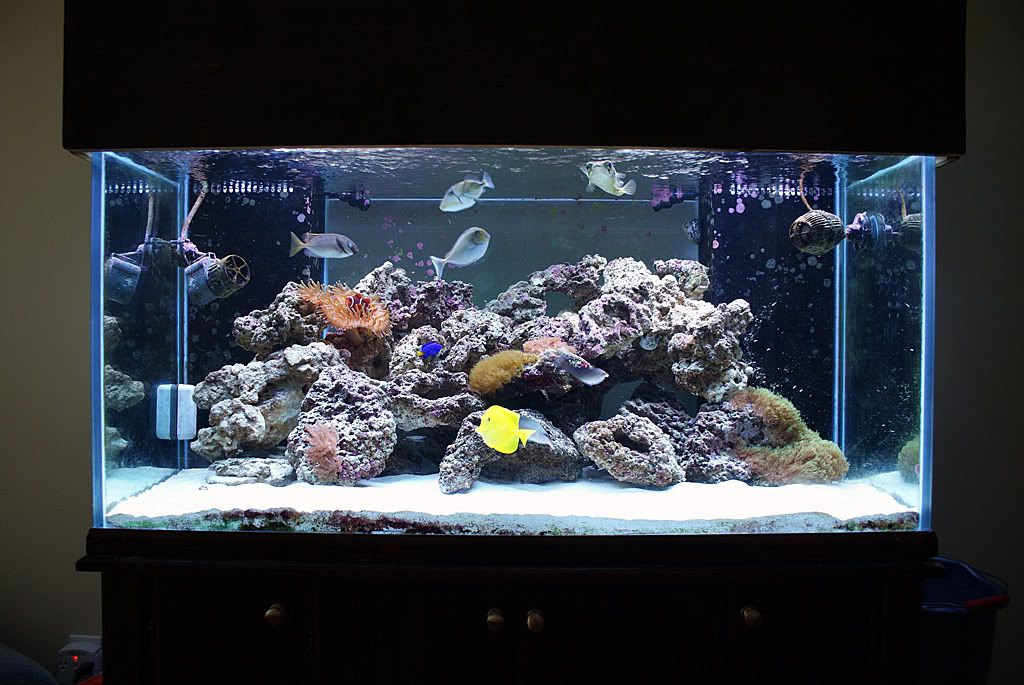 120g.jpg