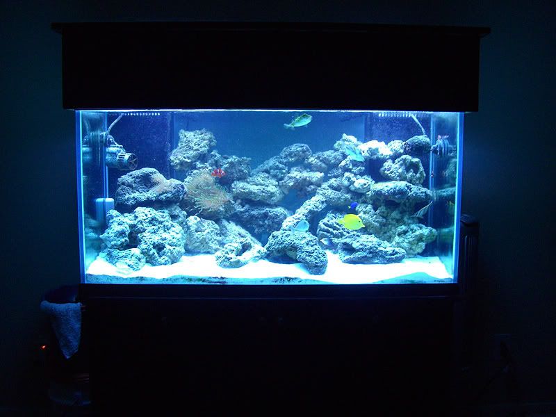 CIMG2265w.jpg