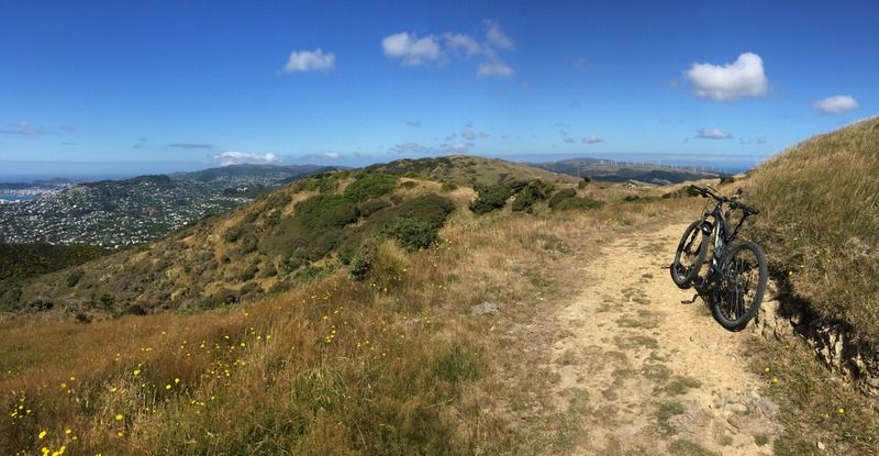 On the Skyline Track above Ngaio looking south towards Te Ahumairangi