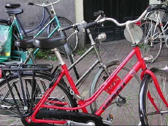 2459086-Amsterdam_Bicycles_stolen_o.jpg