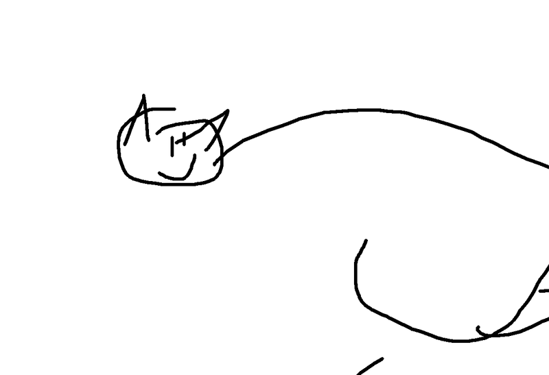 cat1.png