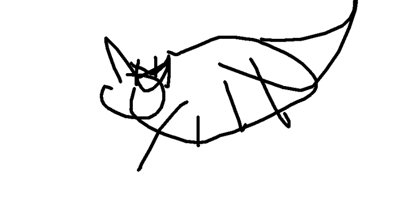 cat3.png