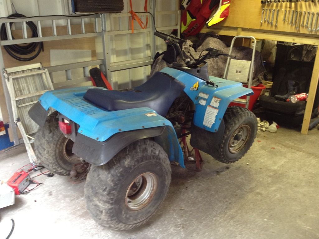 Yamaha YFM 225 project - Starter Motor Grinding Inside Engine - Yamaha ATV Forum