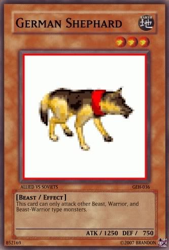 GermanShephardphp.jpg