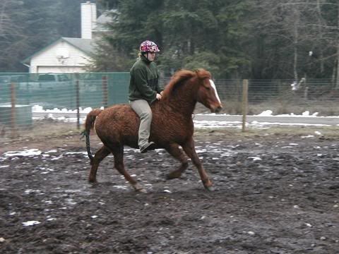2004.jpg