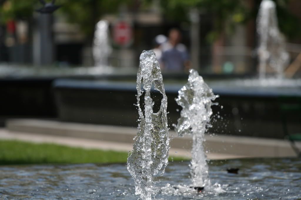 IMAGE: http://img.photobucket.com/albums/v666/penga25/2da6e51f.jpg