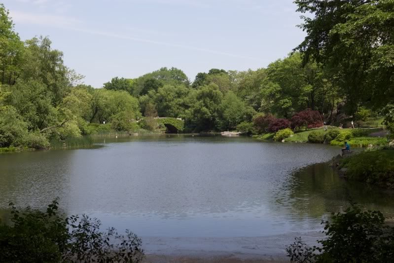 IMAGE: http://img.photobucket.com/albums/v666/penga25/IMG_6644.jpg