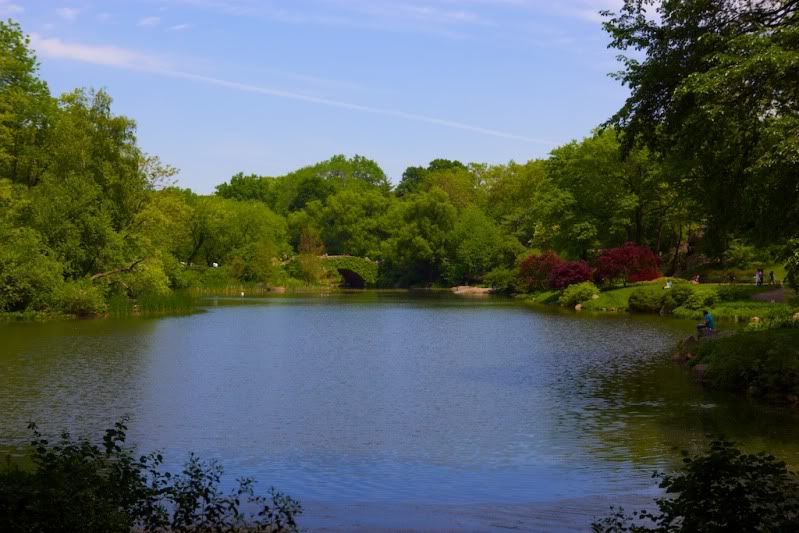 IMAGE: http://img.photobucket.com/albums/v666/penga25/IMG_6647.jpg