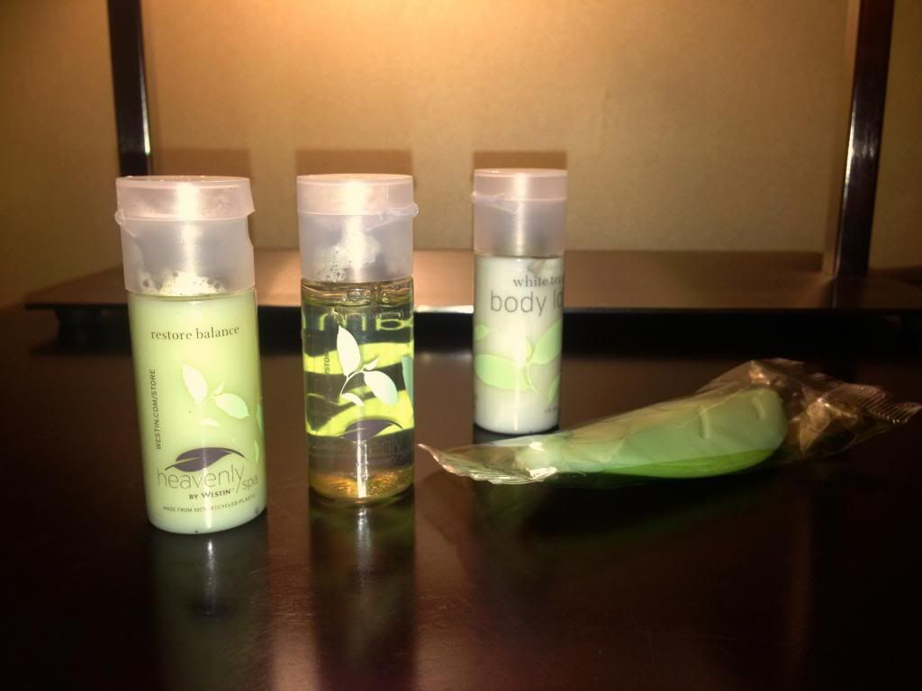 White Tea Aloe Products (c) saguviper tea tree oil shampoo and conditioner