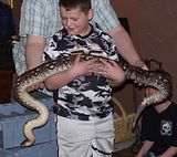 http://img.photobucket.com/albums/v667/boomerangagain/th_seven.jpg