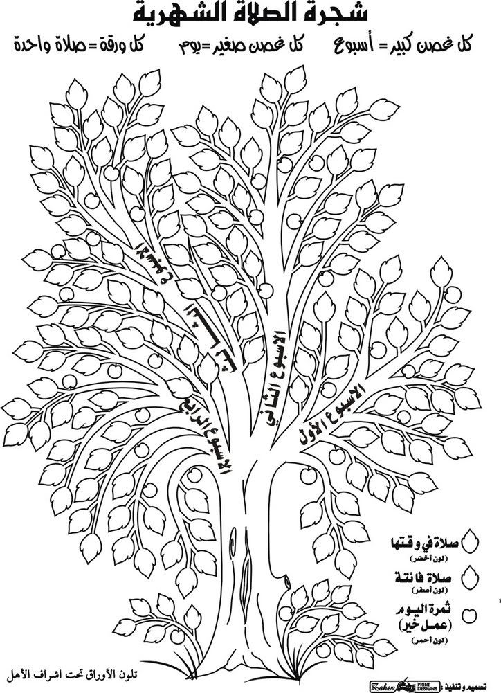 شجــرهـ الصلاة..