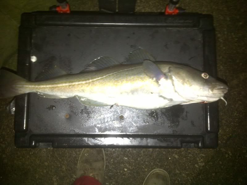 45lbcod.jpg