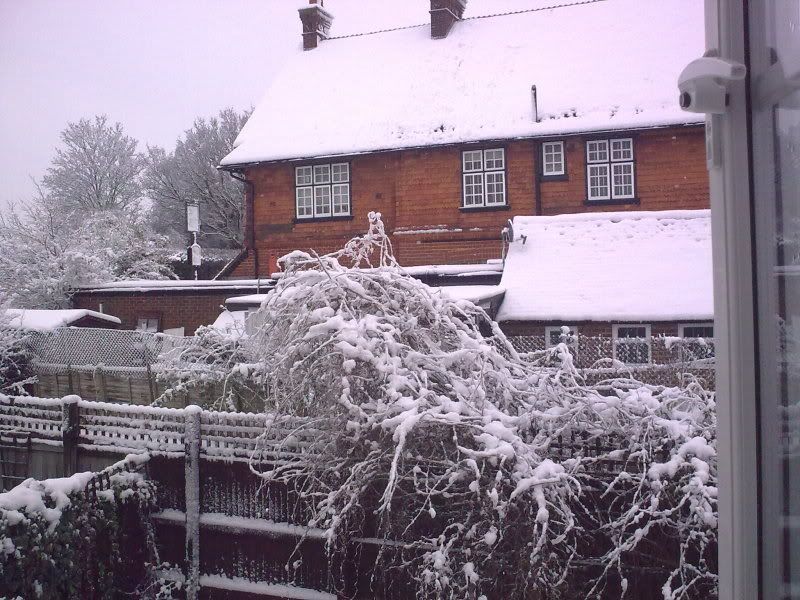 06012010070.jpg