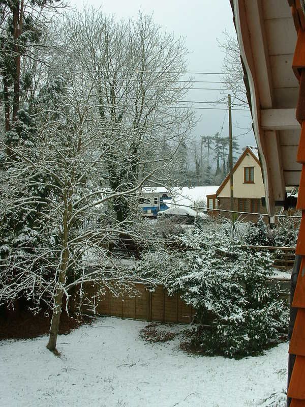 DSCF0019-1.jpg