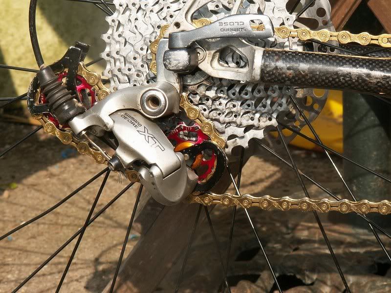 morebikebling4.jpg