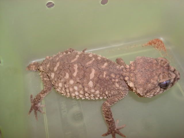 DSC00590.jpg