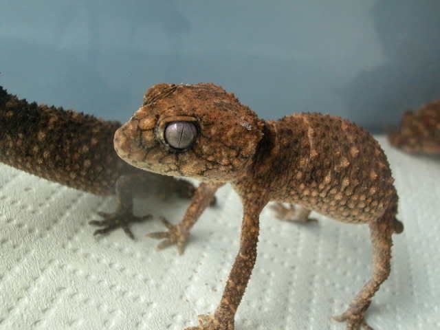 DSCN4439.jpg