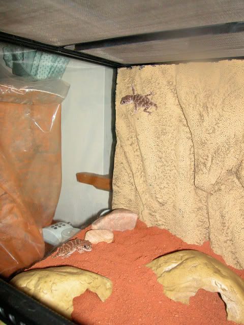 DSCN4489.jpg