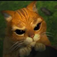 http://img.photobucket.com/albums/v669/ShO12/Zajebancije/shrek-cat.jpg
