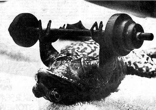 Image hosted by Photobucket.com