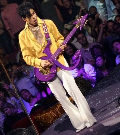 Image result for prince tour 2004