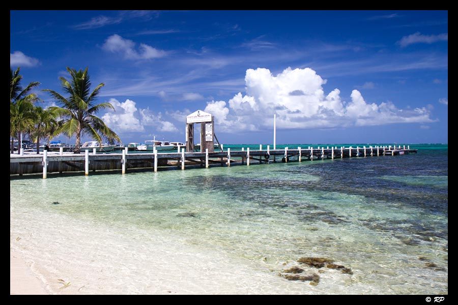 IMAGE: http://img.photobucket.com/albums/v67/rparchen/Photography/Belize/IMG_2790-Edit.jpg