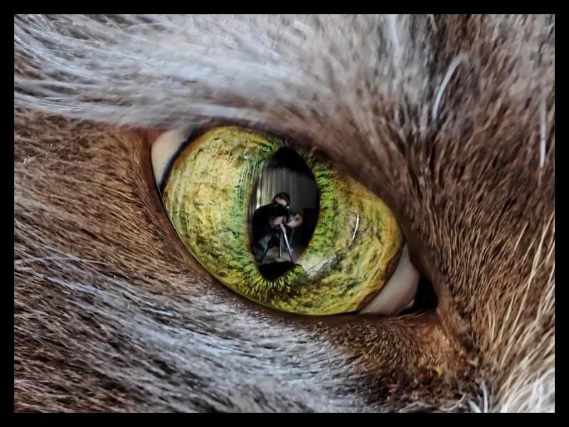 IMAGE: http://img.photobucket.com/albums/v67/rparchen/Photography/CaspersEye.jpg