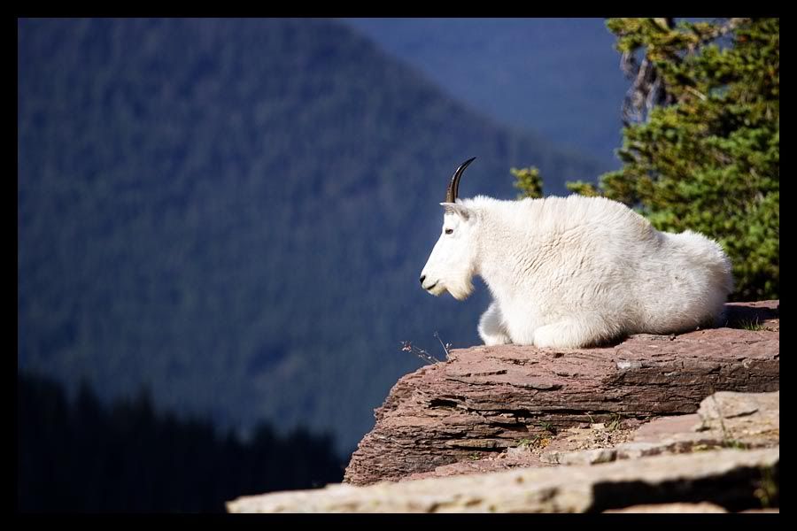 IMAGE: http://img.photobucket.com/albums/v67/rparchen/Photography/Road%20Trip/632340549_MYFqF-O-1.jpg