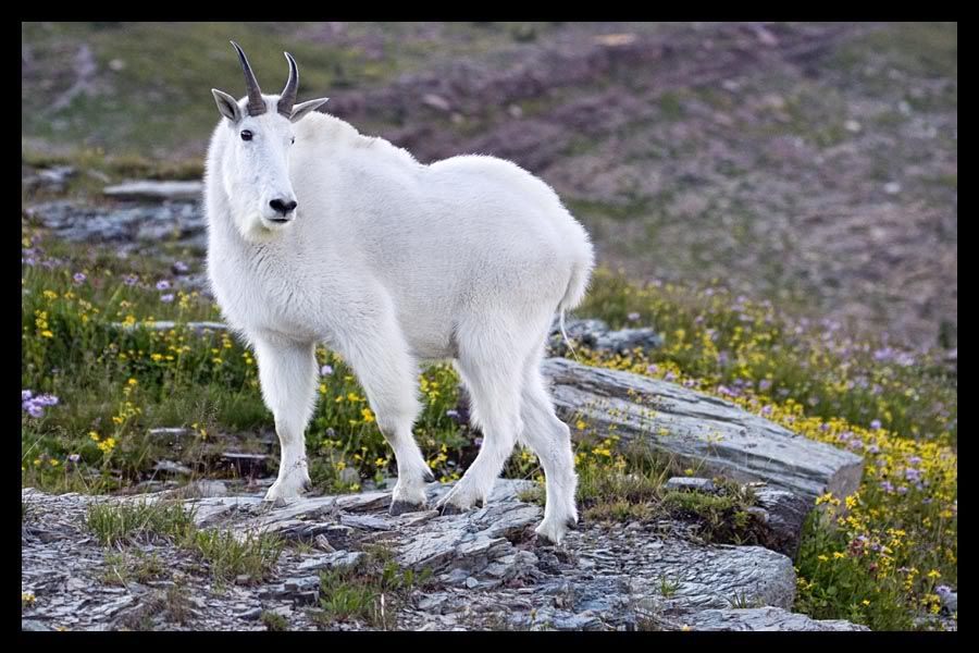 IMAGE: http://img.photobucket.com/albums/v67/rparchen/Photography/Road%20Trip/632340787_q3cT3-O-1.jpg