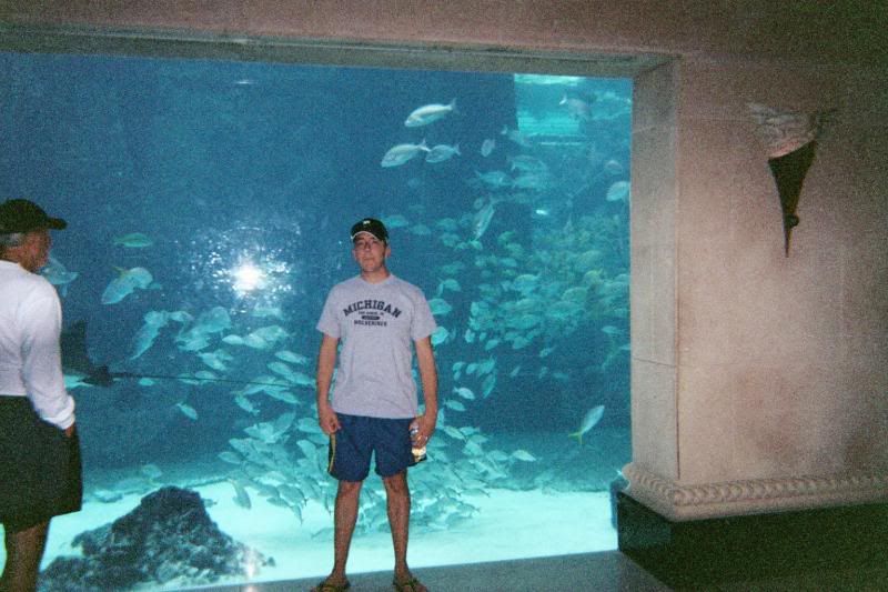 atlantis  aquarium
