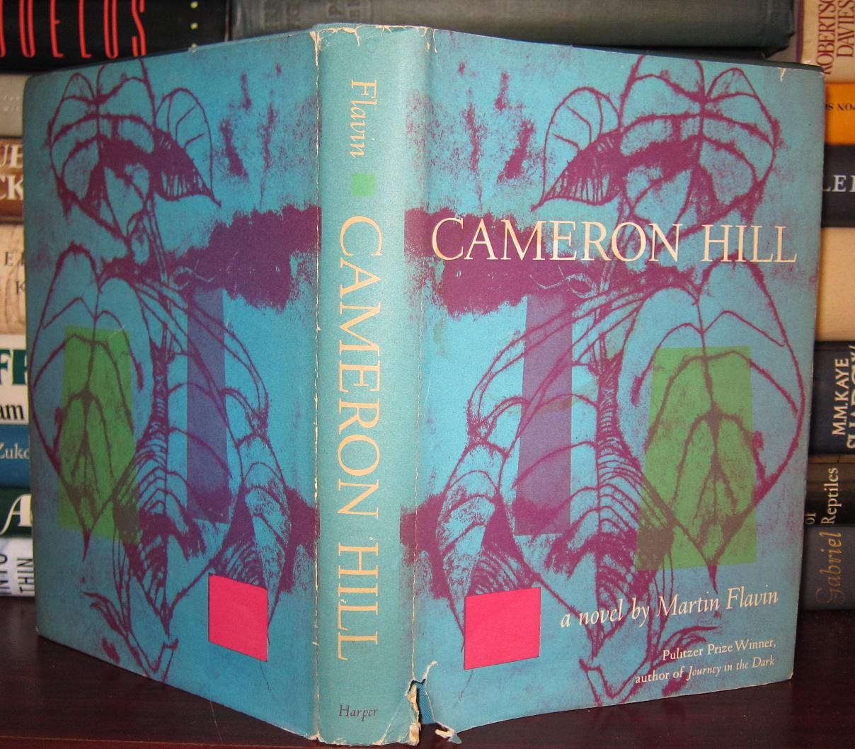 FLAVIN, MARTIN - Cameron Hill the History of a Crime, a Novel