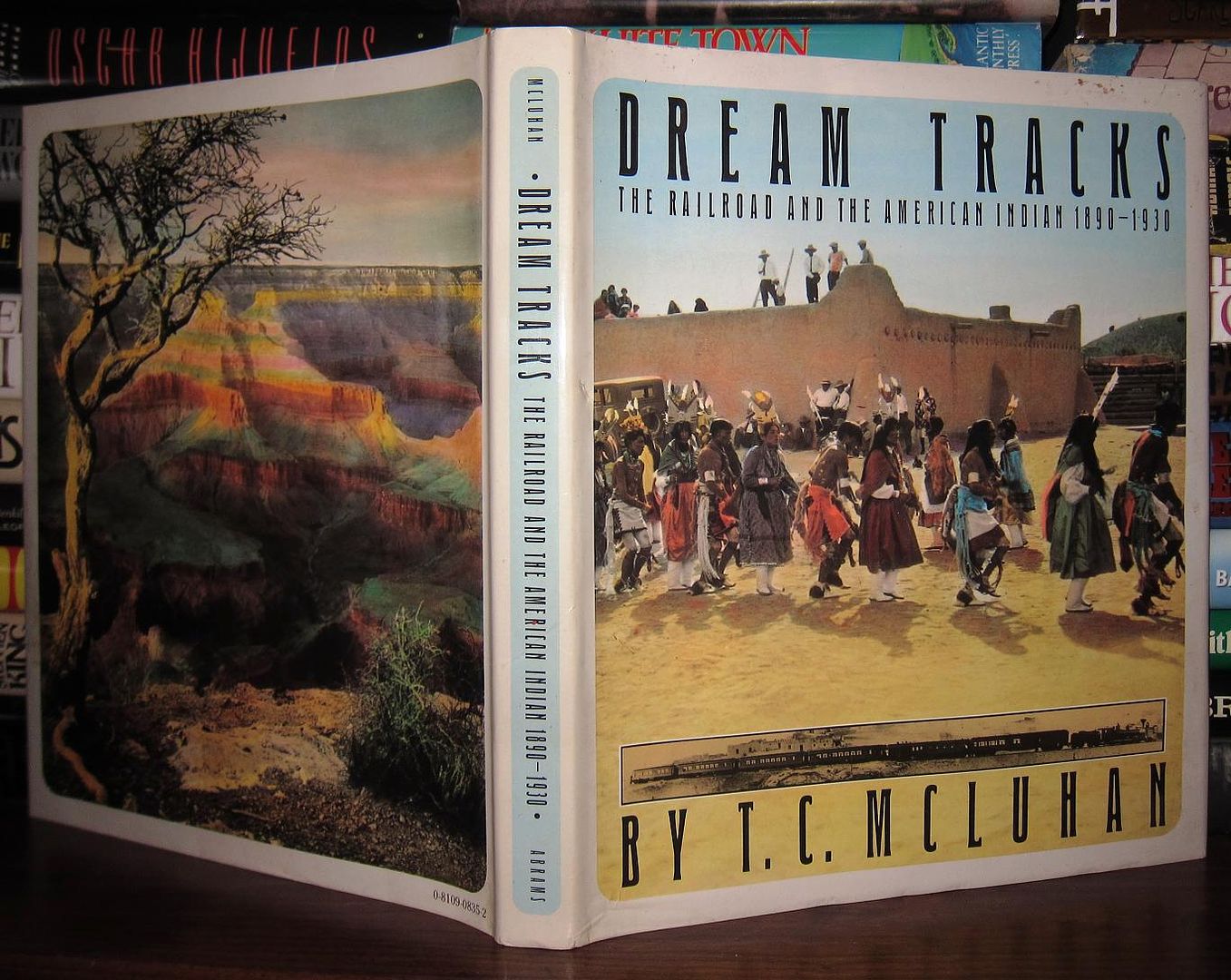 MCLUHAN, T. C. - Dream Tracks the Railroad and the American Indian 1890-1930
