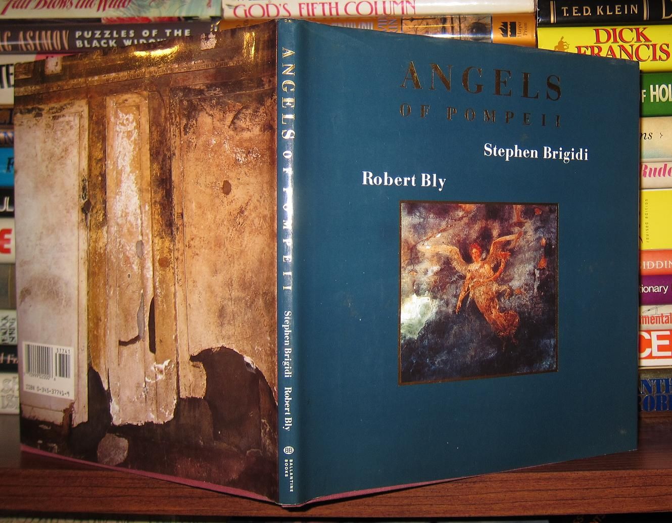 BLY, ROBERT; BRIGIDI, STEPHEN - Angels of Pompeii