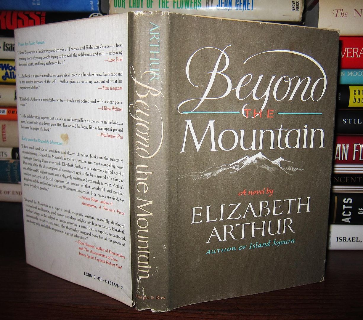 ARTHUR, ELIZABETH - Beyond the Mountain