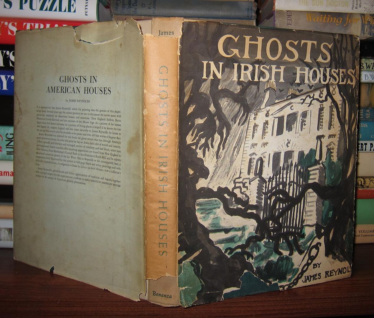 REYNOLDS, JAMES - Ghosts in Irish Houses