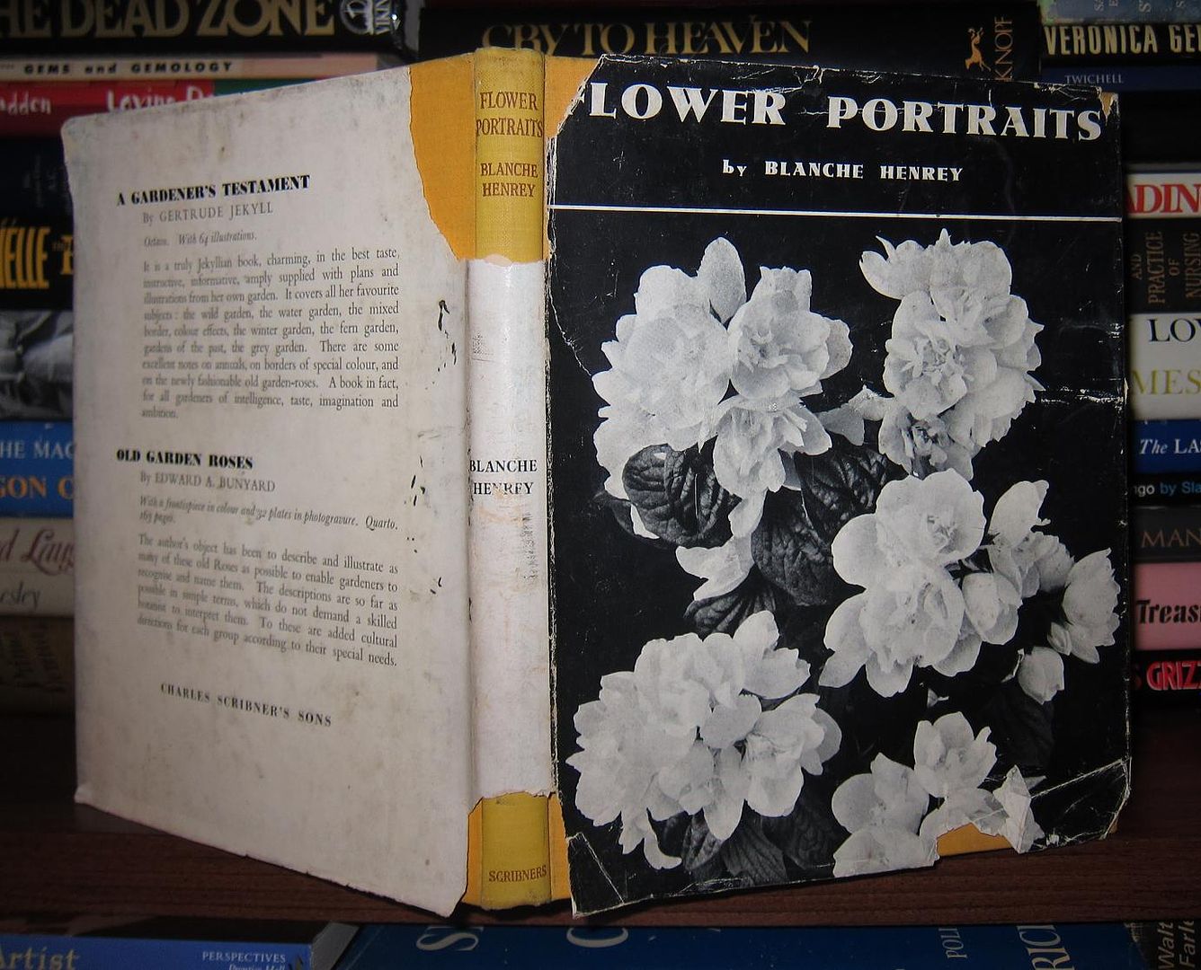 HENREY, BLANCHE; TAYLOR, G. C. ; BOWLES, E. A. - Flower Portraits