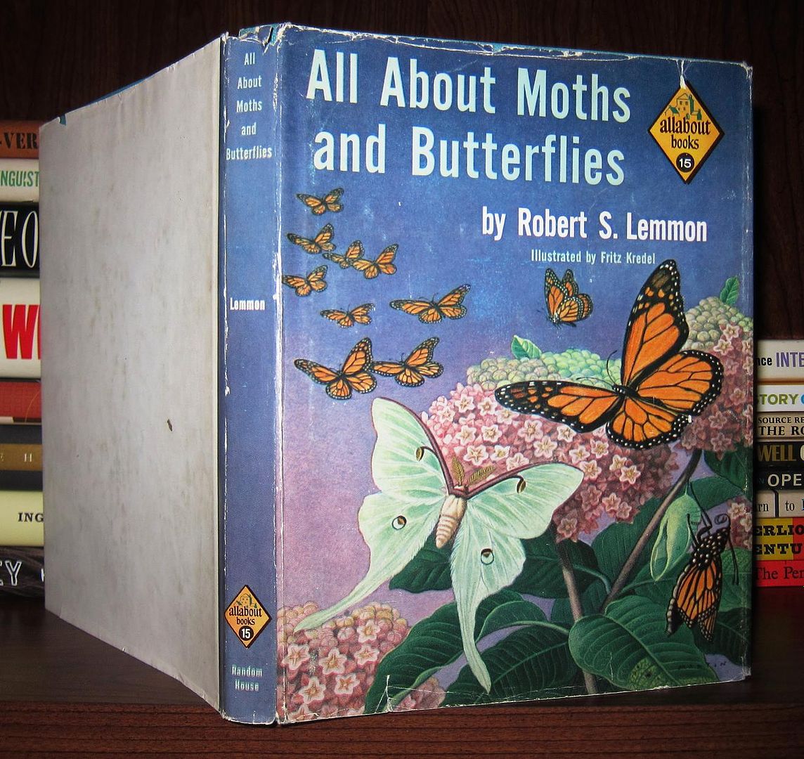 LEMMON, ROBERT STELL - All About Moths and Butterflies