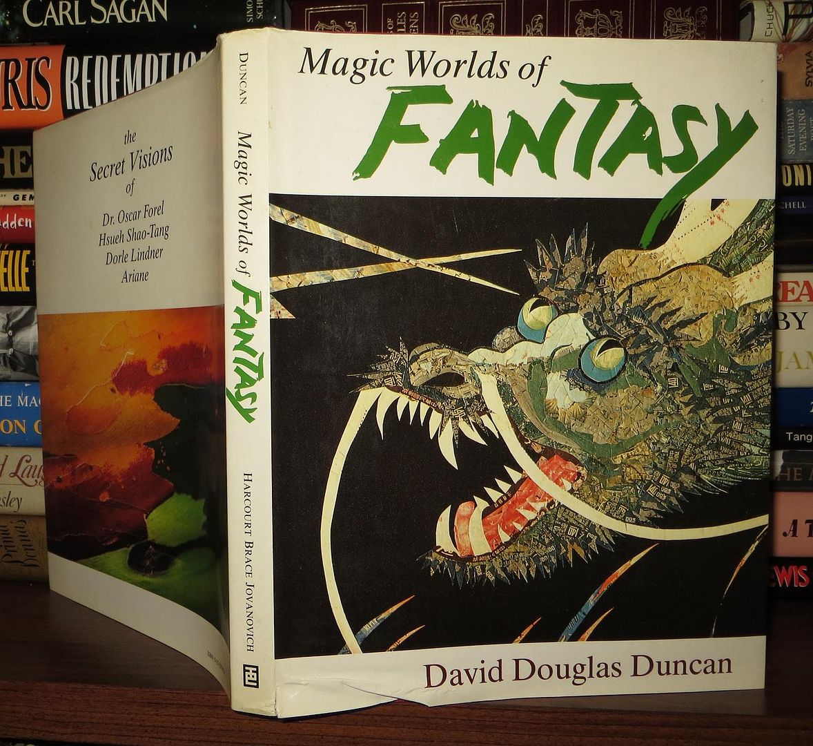 DAVID JAMES DUNCAN - Magic Worlds of Fantasy