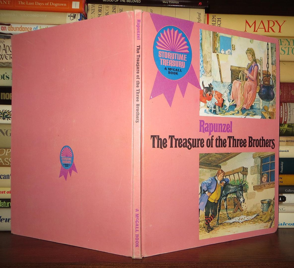 MCCALL PUBLISHING COMPANY - Rapunzel the Treasure of the Three Brothers