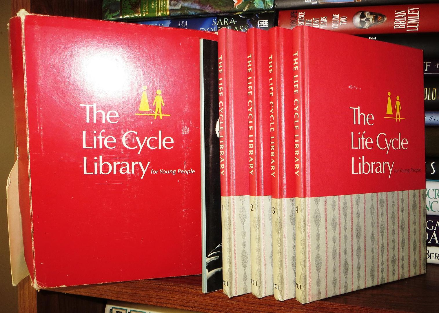 GOLDSMITH, MARSHA - The Life Cycle Library for Young People