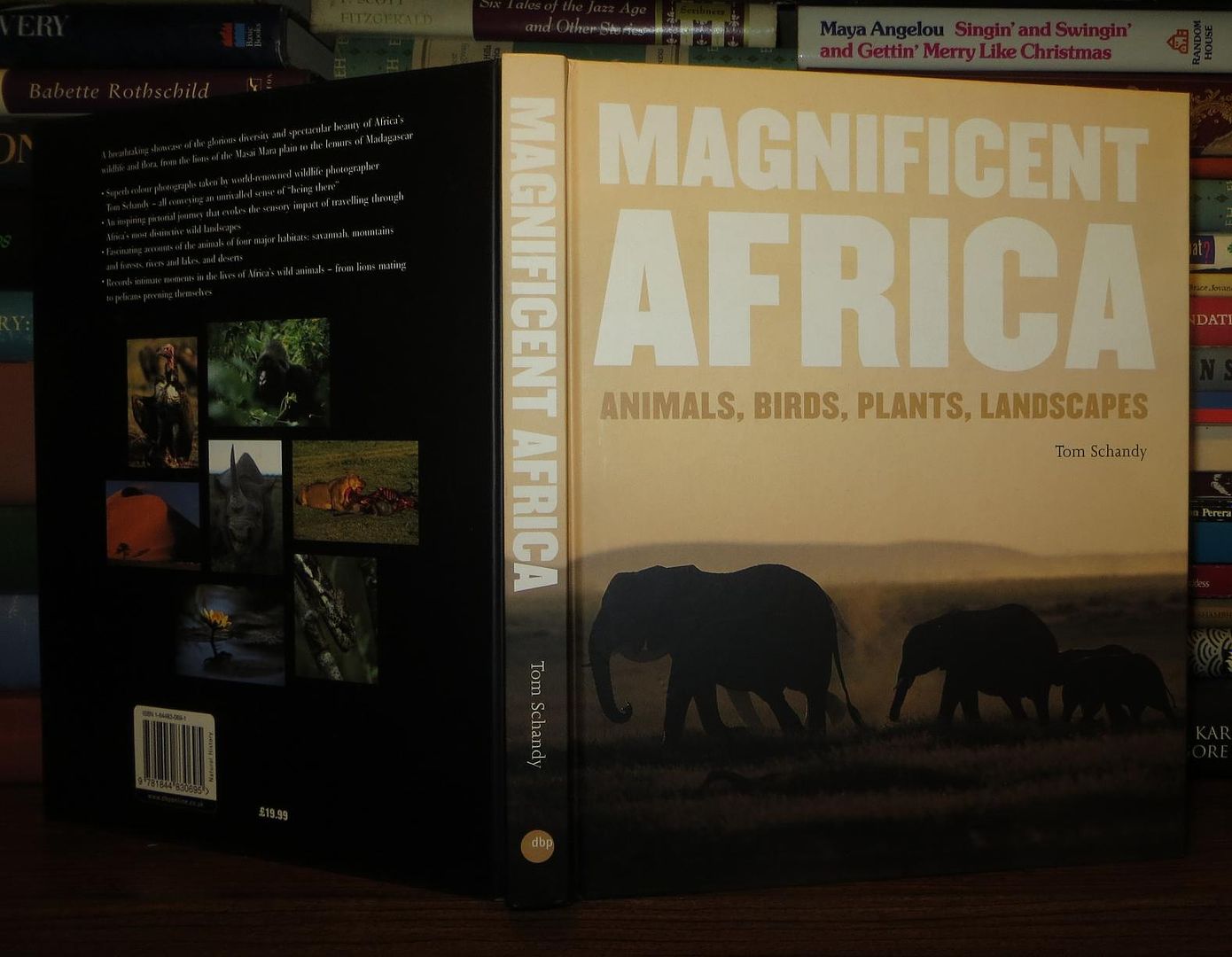 SCHANDY, TOM - Magnificent Africa Animals, Birds, Plants, Landscapes
