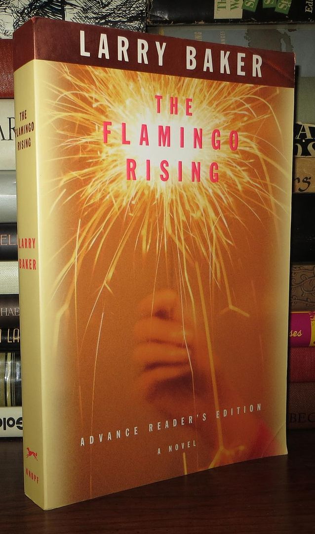 BAKER, LARRY - The Flamingo Rising