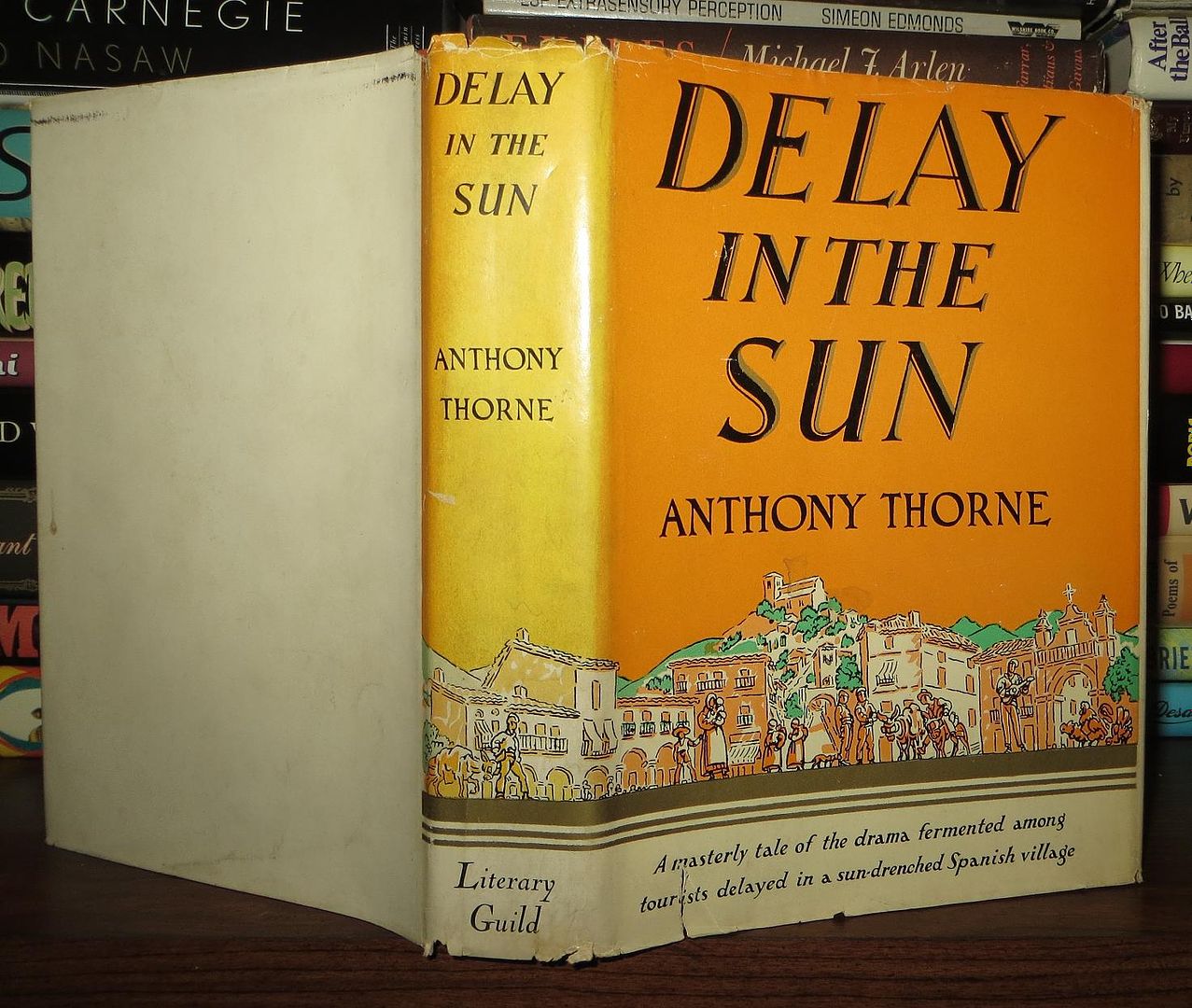 THORNE, ANTHONY - Delay in the Sun