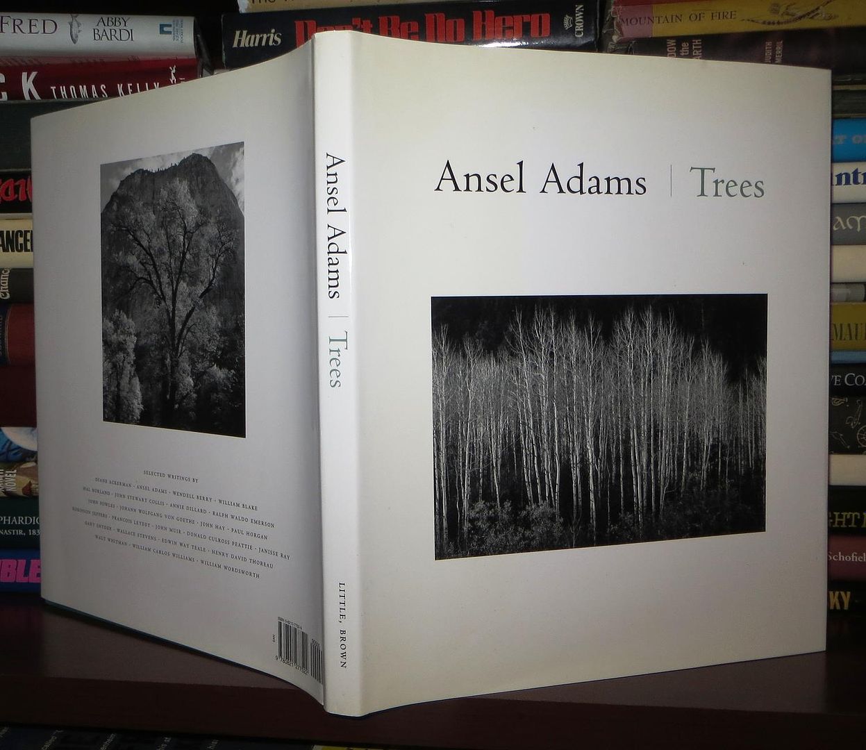 ADAMS, ANSEL - Trees