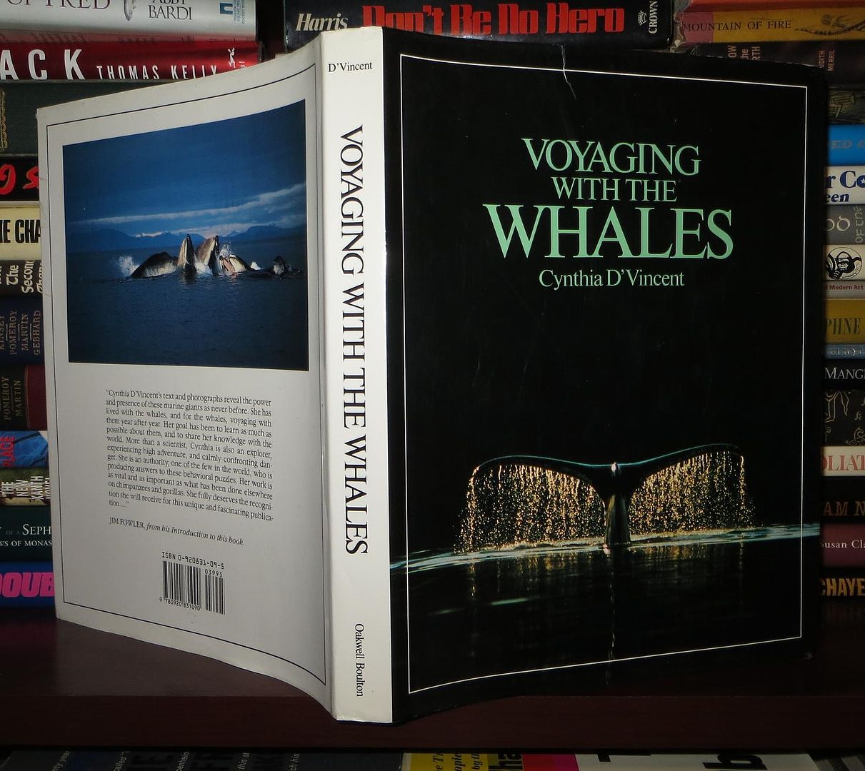 D'VINCENT, CYNTHIA & DELPHINE HALEY & FRED A. SHARPE - Voyaging with the Whales