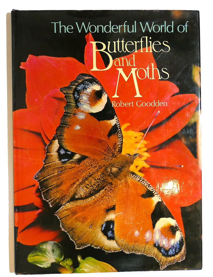ROBERT GOODDEN - Wonderful World of Butterflies and Moths