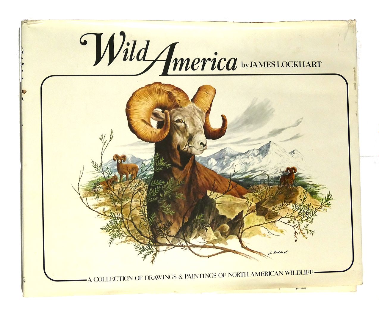 JAMES LOCKHART - Wild America